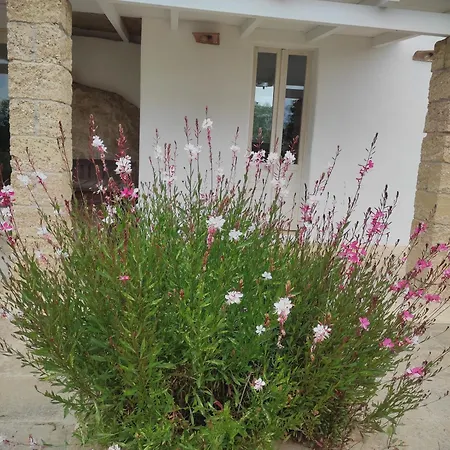 Trullo Contrada Specchi *