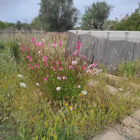 Trullo Contrada Specchi * 拉卡里