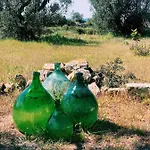 Trullo Contrada Specchi Apartment *