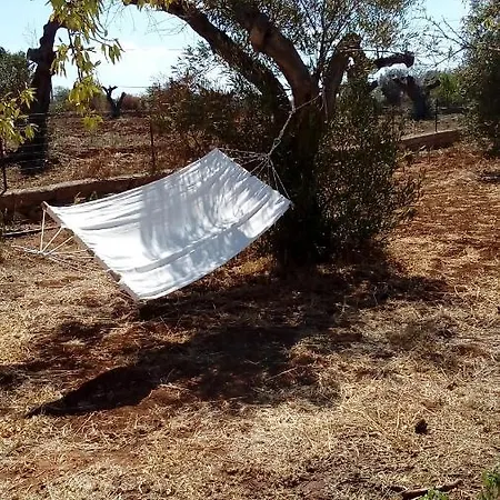 Trullo Contrada Specchi