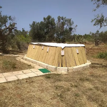 Trullo Contrada Specchi شقة