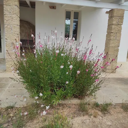 Trullo Contrada Specchi Διαμέρισμα Racale
