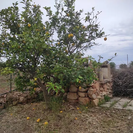 Trullo Contrada Specchi Racale