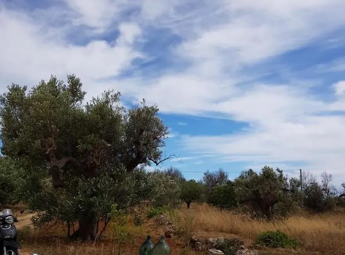 Trullo Contrada Specchi Appartamento *