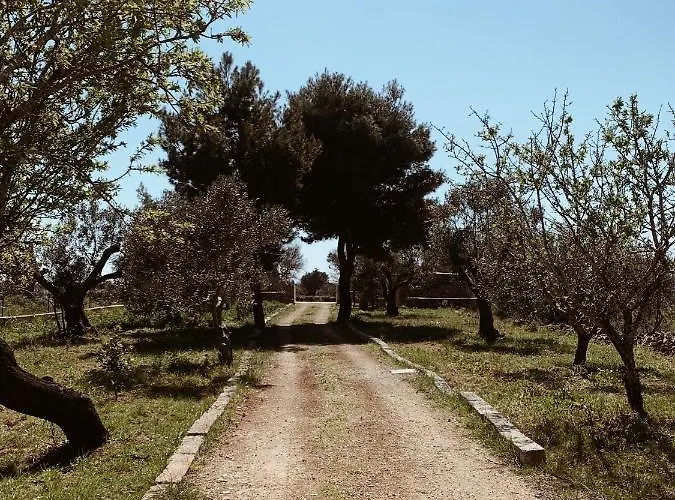 Trullo Contrada Specchi Appartamento Racale