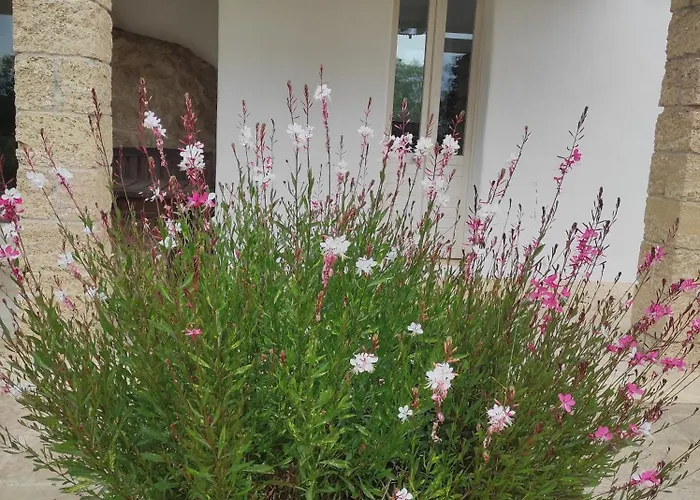 Trullo Contrada Specchi *