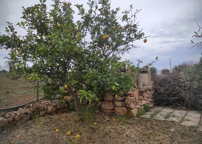 Trullo Contrada Specchi Racale