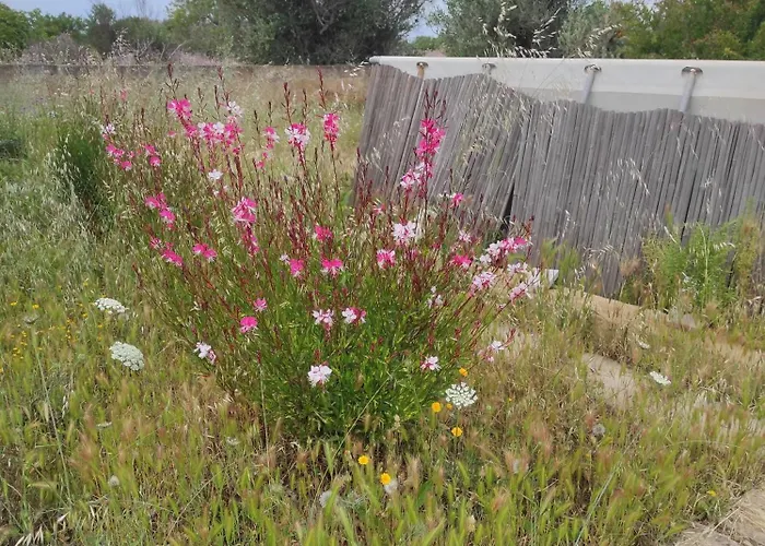 Trullo Contrada Specchi * Racale